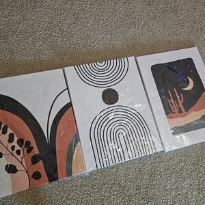 3 Piece Canvas Boho Inspired wall art 16*24
